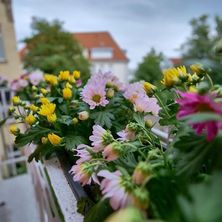 Appartement Otto I - Erfurt Zentrum المظهر الخارجي الصورة