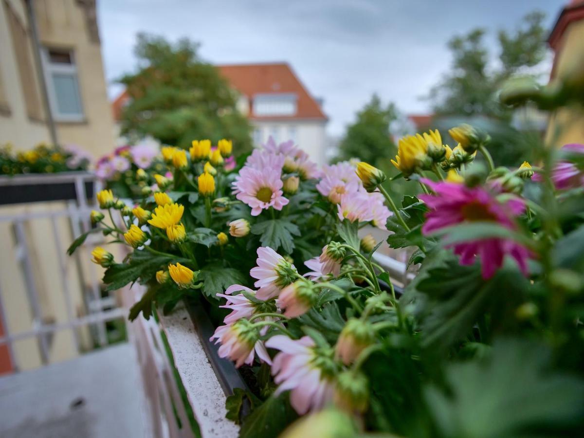 Appartement Otto I - Erfurt Zentrum المظهر الخارجي الصورة